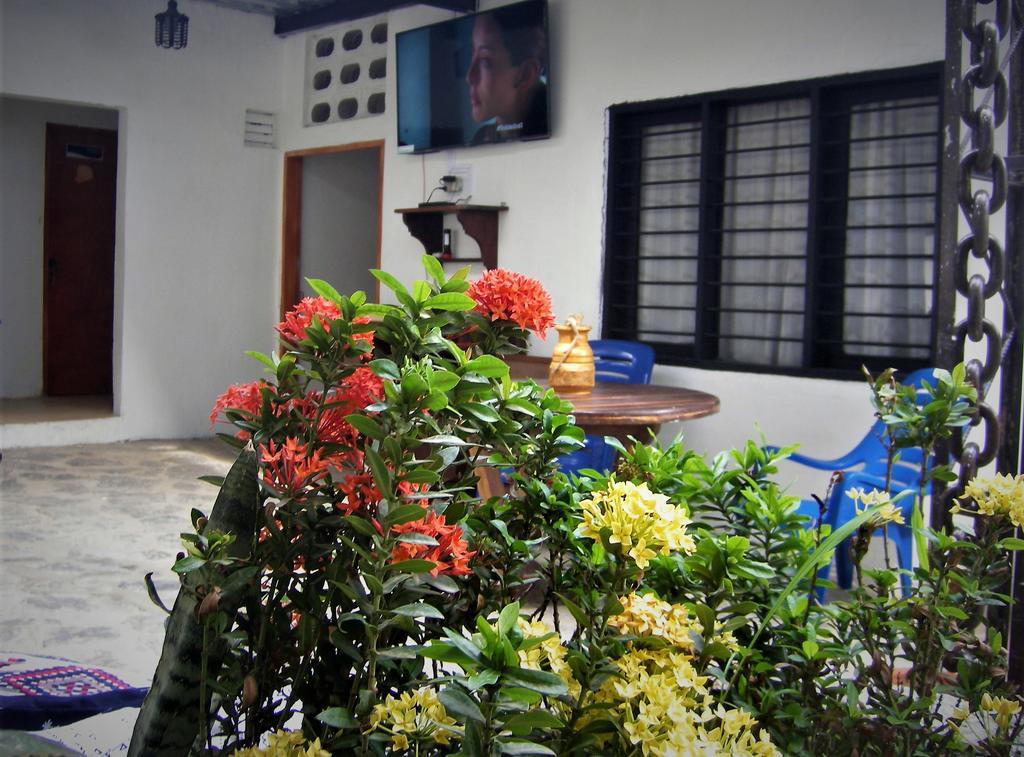 Hostal Palohe Taganga Extérieur photo