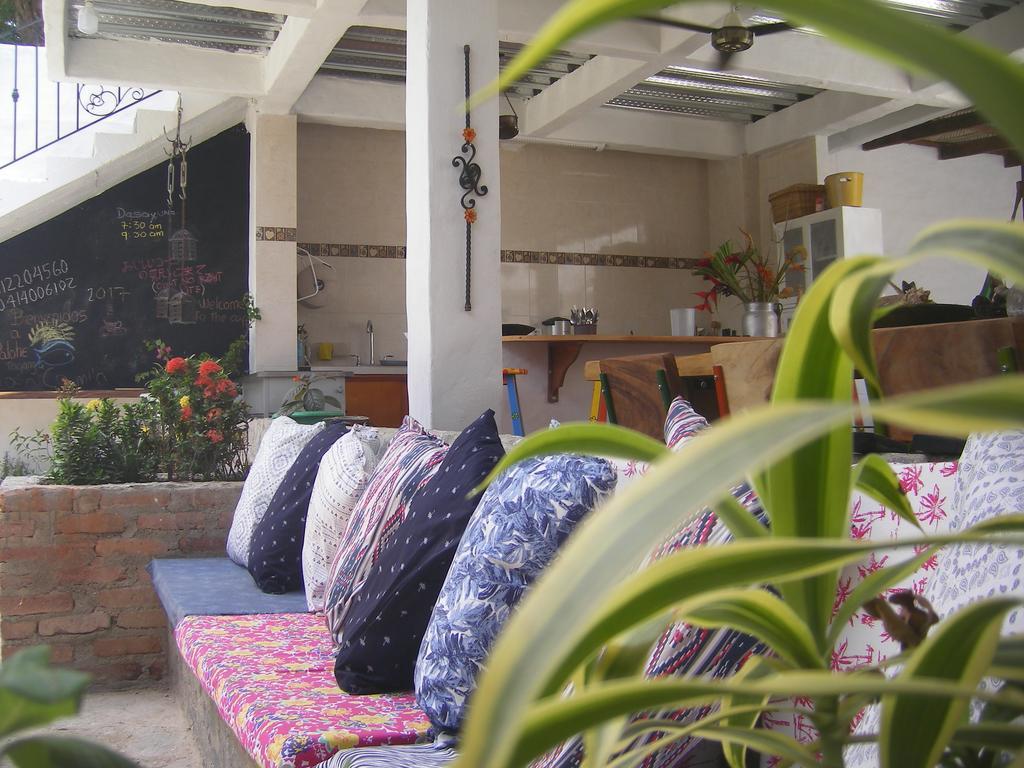 Hostal Palohe Taganga Extérieur photo